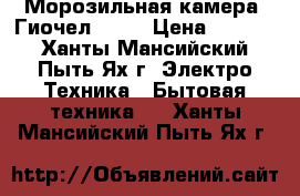 Морозильная камера “Гиочел 101“ › Цена ­ 3 000 - Ханты-Мансийский, Пыть-Ях г. Электро-Техника » Бытовая техника   . Ханты-Мансийский,Пыть-Ях г.